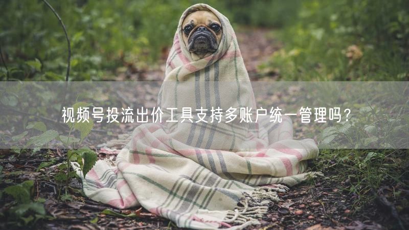 视频号投流出价工具支持多账户统一管理吗？