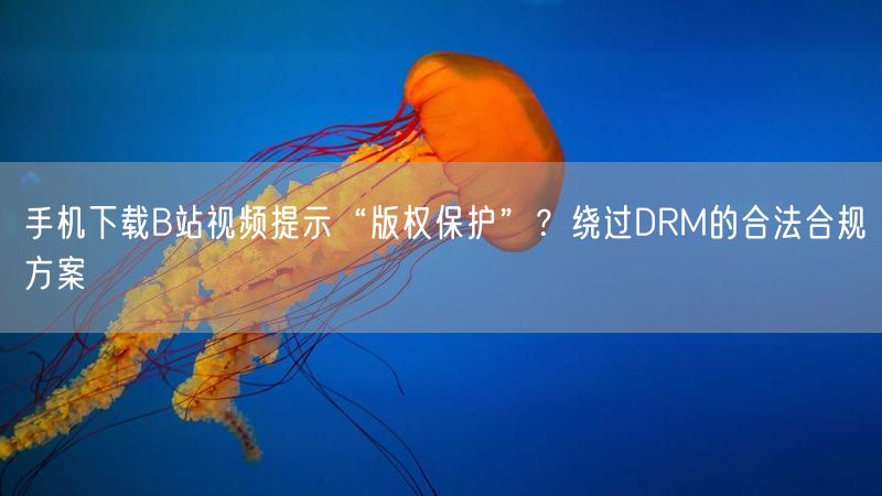 手机下载B站视频提示“版权保护”？绕过DRM的合法合规方案